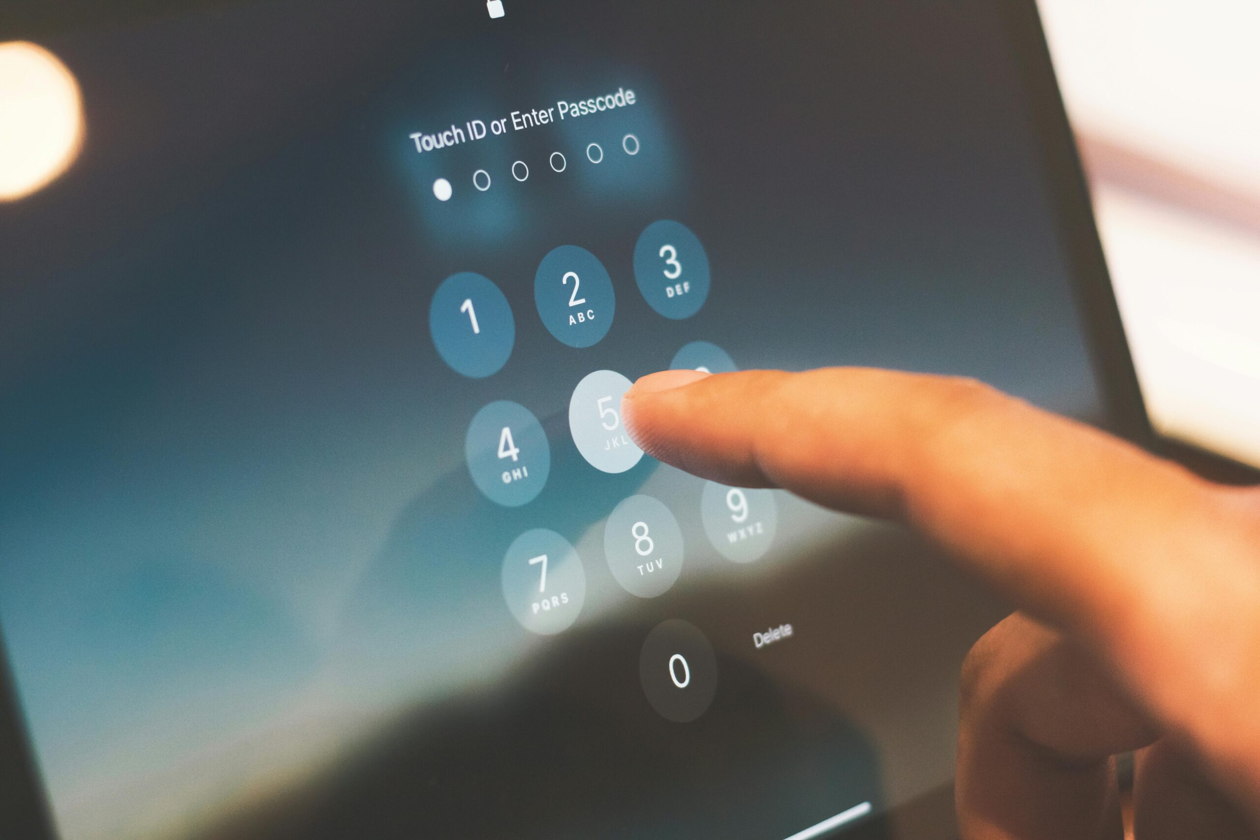 Tax identity protection and security measures with IP PIN