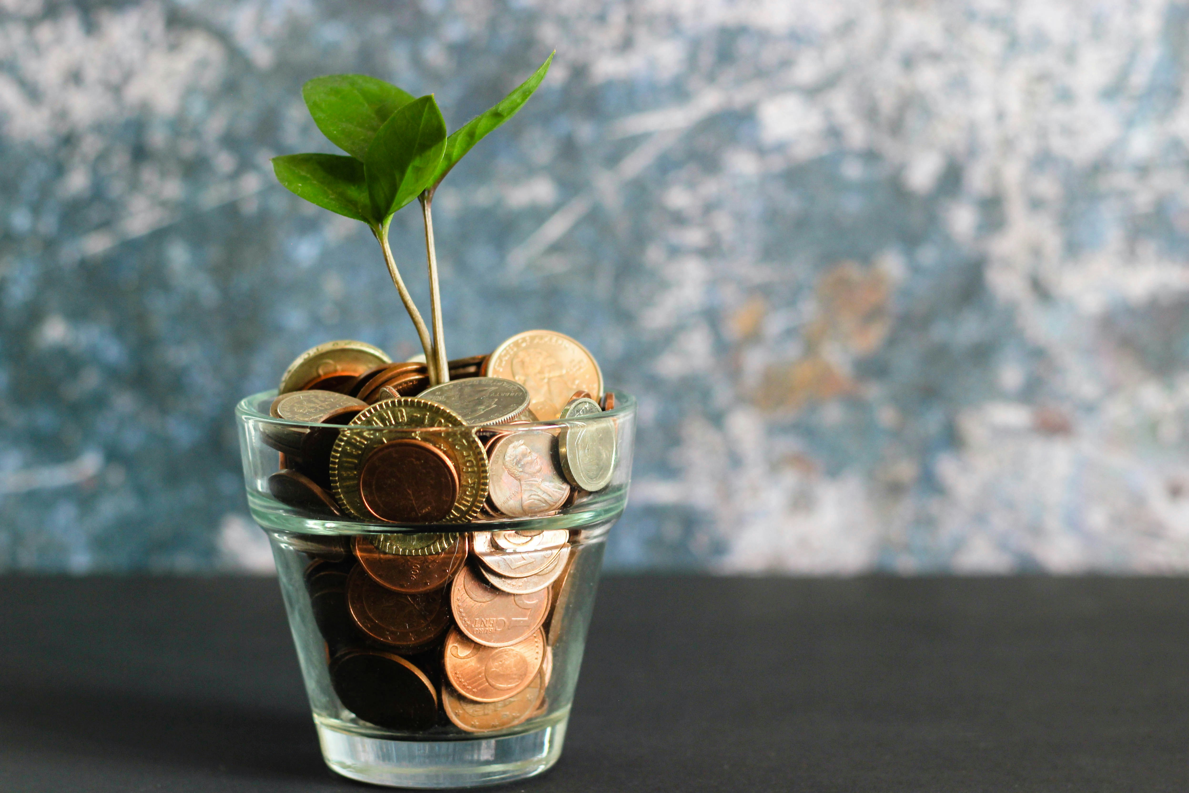 Plant growing from jar filled with coins representing tax credit savings and financial growth